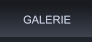 GALERIE GALERIE